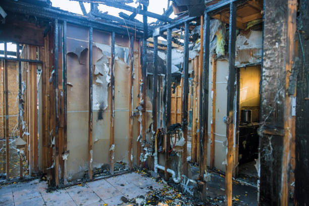 Professional Fire Damage Removal technician working in Wrightstown, WI